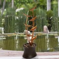 Nature Spring Nature Spring 7-Tier Outdoor Water Fountain 932759YNF